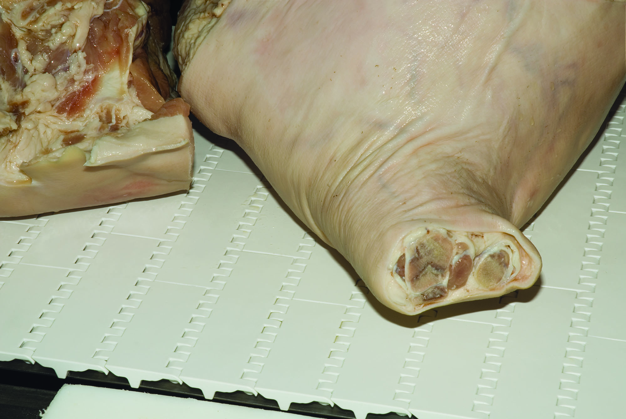 Dyno Conveyors Versatek Modular Belt Conveyor Intralox Meat Tough Belt1